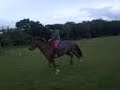 Sophie & Candra Jumping In The Field Sophie & Candra Jumping In The Field
