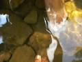 EatMyFeet EatMyFeet