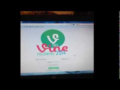 how to get more followers on vine