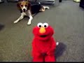 ?????????????????? ??????????????????