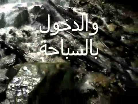 اطول زب