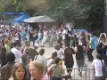 Brosella Ivo papasov Brosella Ivo papasov