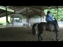 Me and Belle doing some stuff in a rope halter Me and Belle doing some stuff in a rope halter