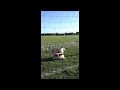 pillow person pillowlympics soccer
