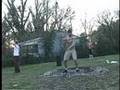 Bax Hoops Blind to Call of Da Wild by Outkast