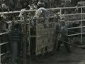 los destructores en tecoman colima vs jinetes d colima y morelos
