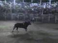 los destructores en tecoman colima vs jinetes d colima y morelos