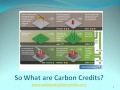 Investing in Carbon Credits