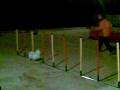 videos de San Martin de la Vega Agilcan Jumping Agility Luna Spitz enano 29 y 30 de Noviembre