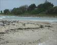 Save Hastings Point