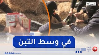 خميس مليانة.. شاهد كيف أطاحت الشرطة ب3 أشخاص  و حجزت 9240 قرص مهلوس