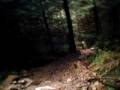 coedybrenin main descent