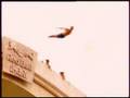 Bosnians & Hercegovians Jumping of STARI MOST in MOSTAR BiH
