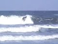 Alan Saulo - 