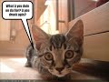 See Video