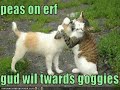 See Video