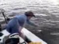 videos de Summer Fun : An evening on the water