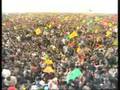 Newroz Amed-5