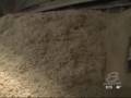 Pellets Gain Popularity