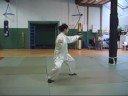 24 form tai chi style chen (05-10-2008)