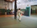 24 form tai chi style chen (05-10-2008)
