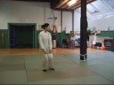 24 form tai chi style chen (05-10-2008)