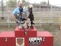 psa protection sports association trial video dobermann