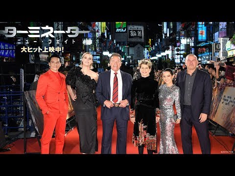 動画