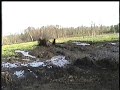 DISTANCE TO BEAT2