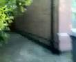 tramp gt wet by spine