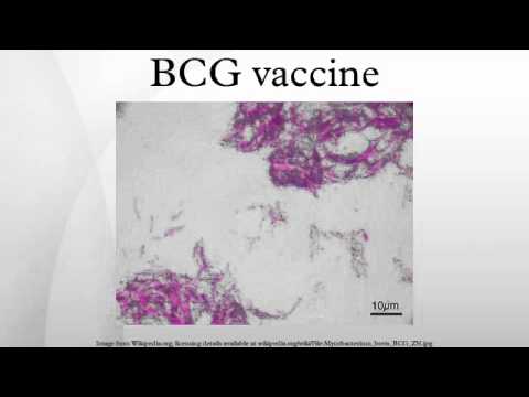how to treat bcg vaccine scar
