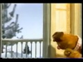 promos, logos and bumpers from early '00s for various shows/specials on YTV (canada) including pokemon, dragon ball z, etc and animated bumpers.
