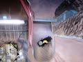 Red faction guerrilla : 15 ways to die