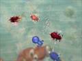 Spore Cellular Stage