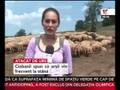 Un cioban din Vama Buzăului a fost atacat de urs