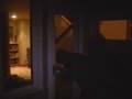 Treasure of the Cisne Episode 1: Begining of the Cisne