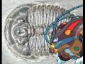 Megaman X8 - Earthrock Trilobyte (Animal Form P2)