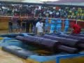 Gran Prix bonete los troncos locos