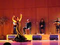 Flamenco Salamanca (parte 3)