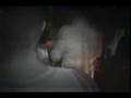 videos de www.7-shades.ca