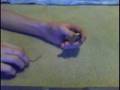 videos de Picks Lock With One Bobby Pin