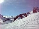 Nature Mont Blanc Praz Sur Arly