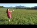 Summer Solstice Celebration