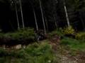 videos de ballade dans le vallespir
