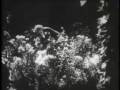 videos de Nosferatu 1922- PortuguêsBrasil -  parte 1 de 13
