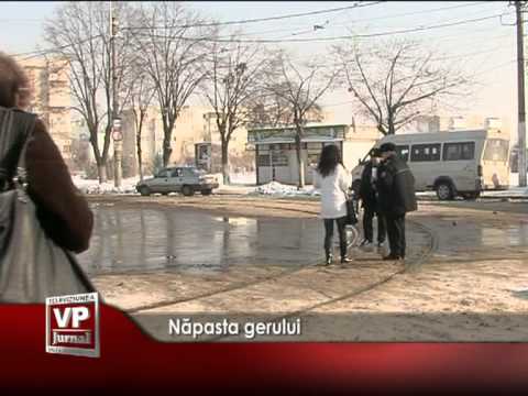 Năpasta gerului