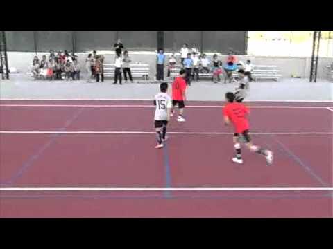 court flex sport arena