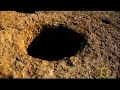 New Stonehenge Discovery