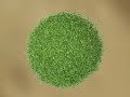 fake-poop-party-pooper-funny-dog-toy.html