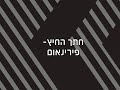 קורס הכנה ללידה בווידאו: פרק 9-חתך החיץ - פרינאום